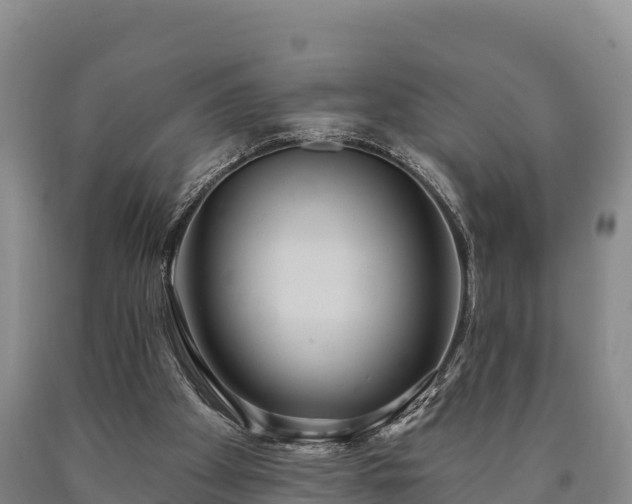 X0000090710105200707271139