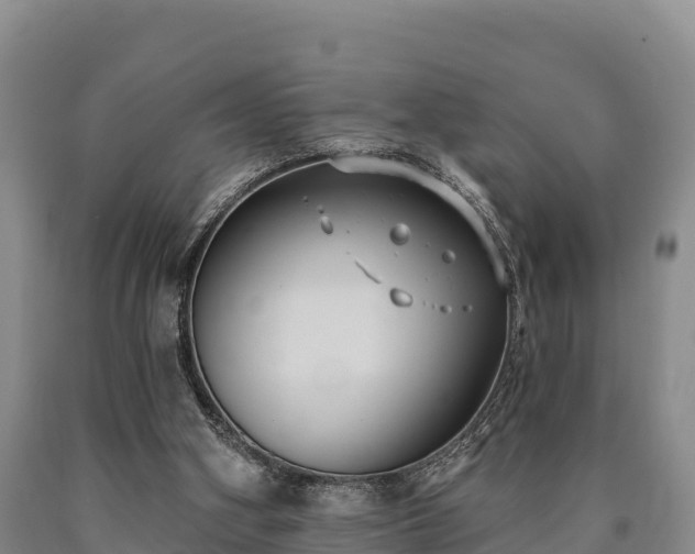 X0000090710106200707271139