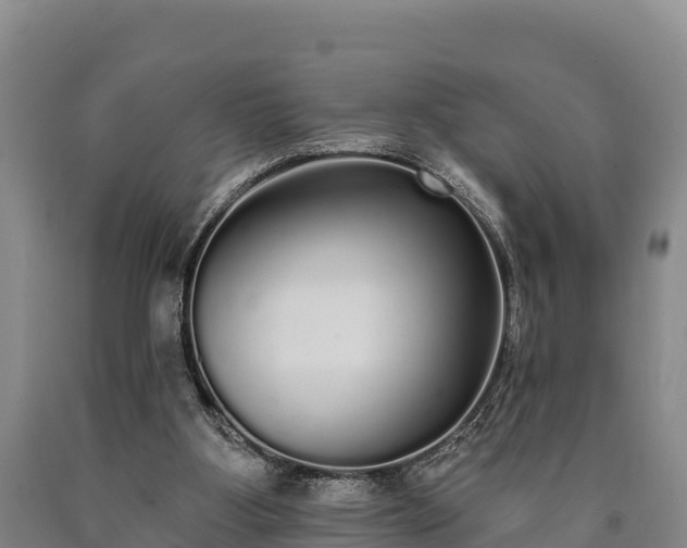 X0000090710107200707271139