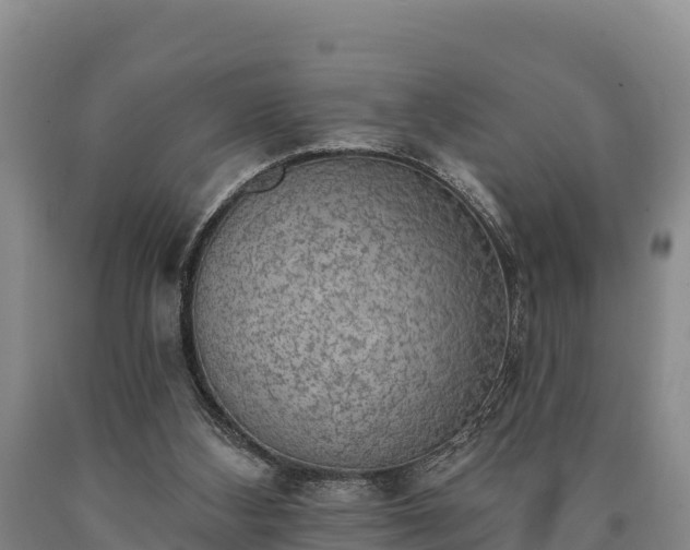 X0000090710108200707271139