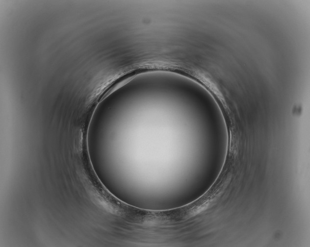 X0000090710109200707271139