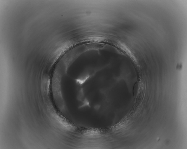 X0000090710110200707271139