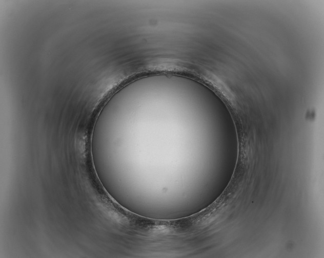 X0000090710111200707271139