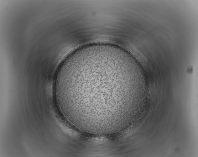 X0000090710112200707271139