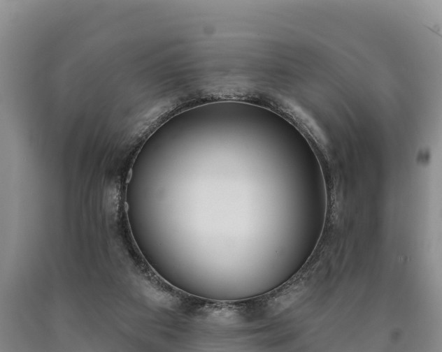 X0000090710113200707271139