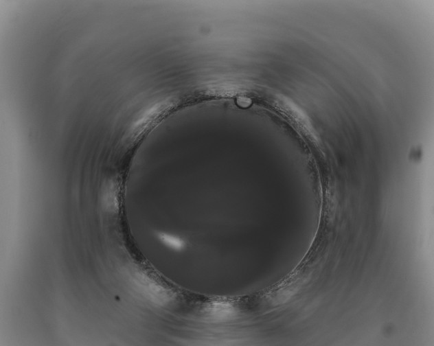 X0000090710114200707271139