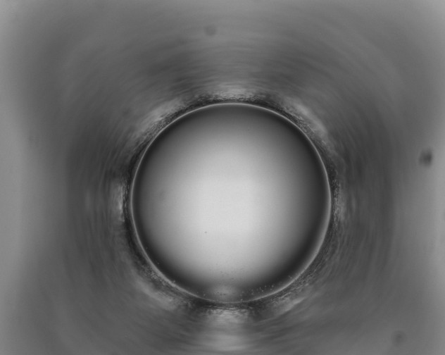 X0000090710115200707271139