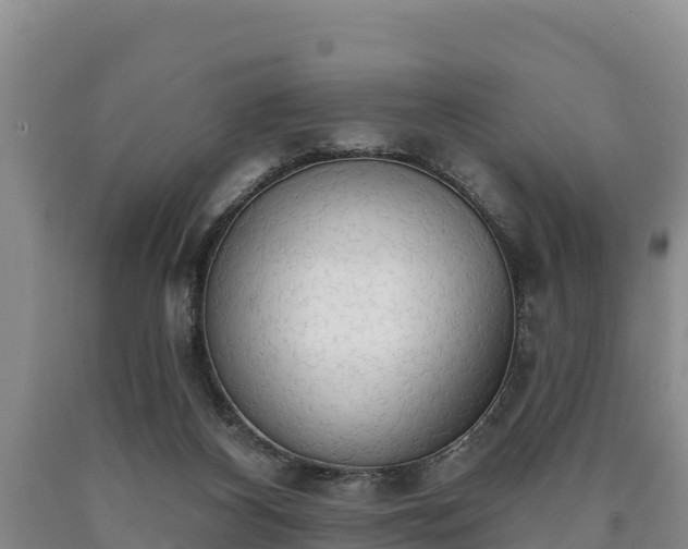 X0000090710116200707271139