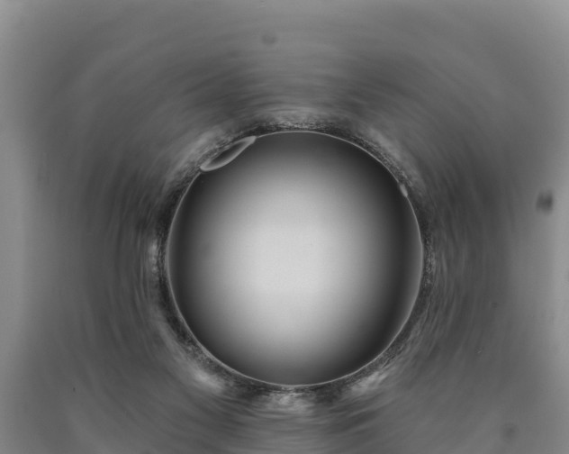 X0000090710117200707271139