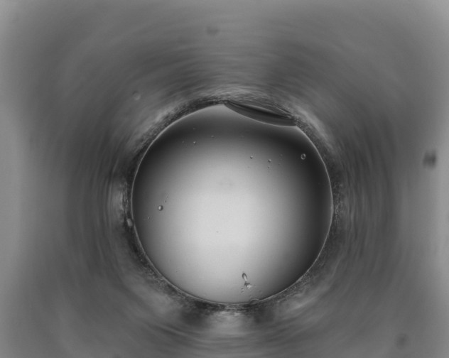 X0000090710119200707271139