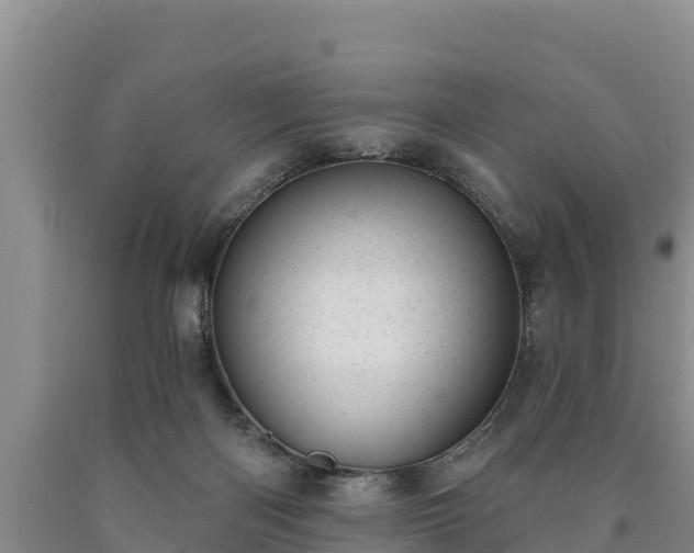 X0000090710122200707271139