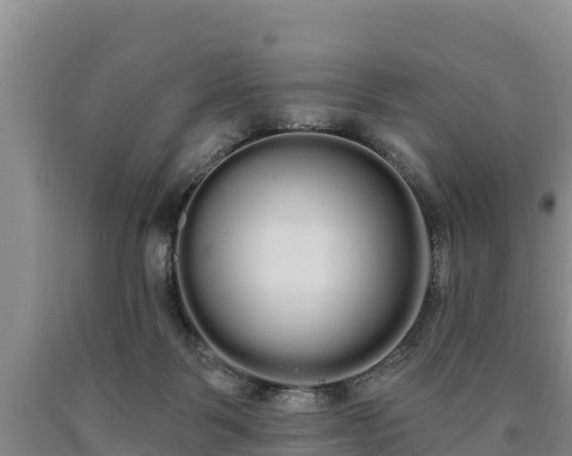 X0000090710123200707271139