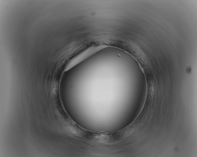 X0000090710125200707271139