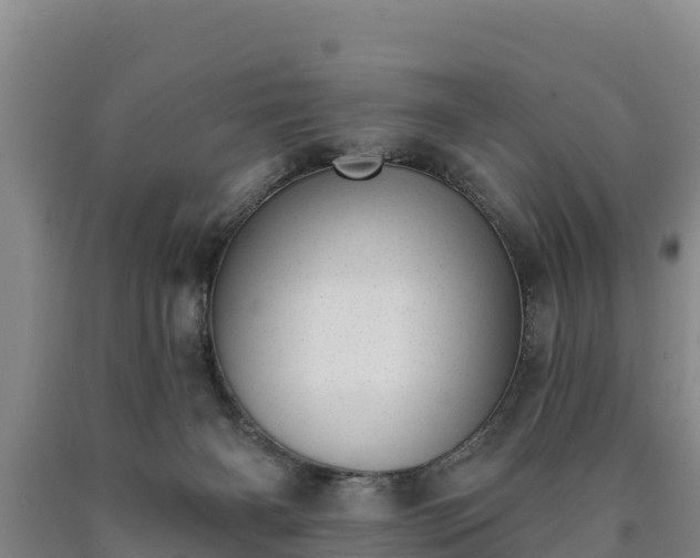 X0000090710126200707271139