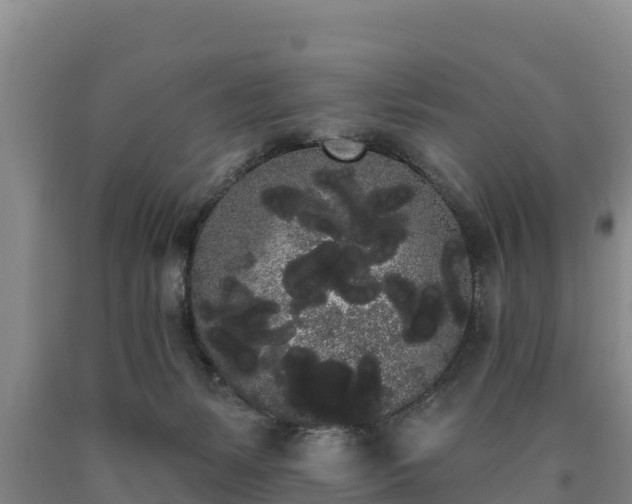 X0000090710127200707271139