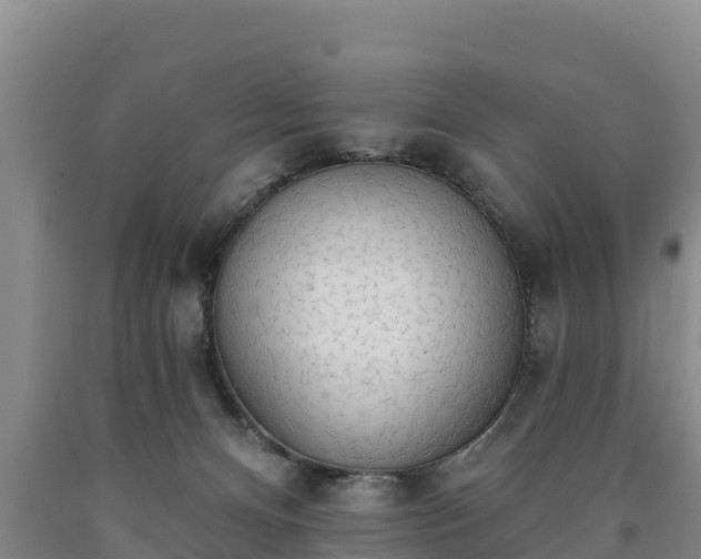 X0000090710128200707271139