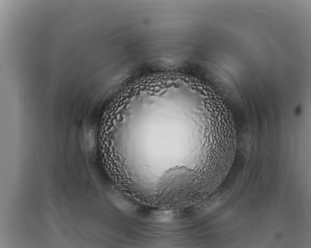 X0000090710131200707271139