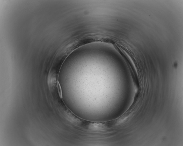 X0000090710137200707271139