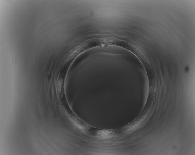 X0000090710139200707271139