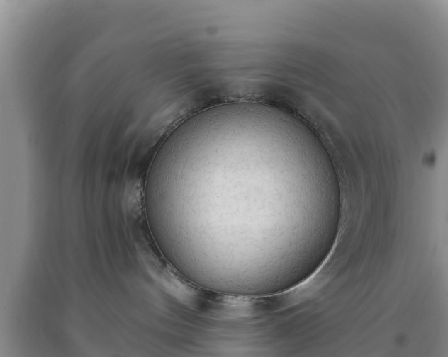 X0000090710144200707271139