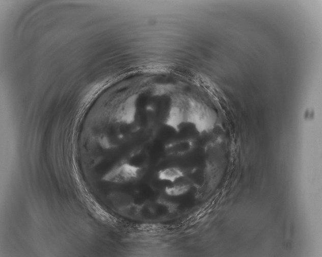 X0000090710145200707271138