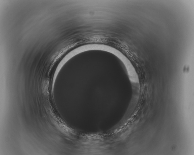 X0000090710146200707271138