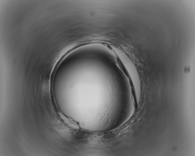 X0000090710148200707271138