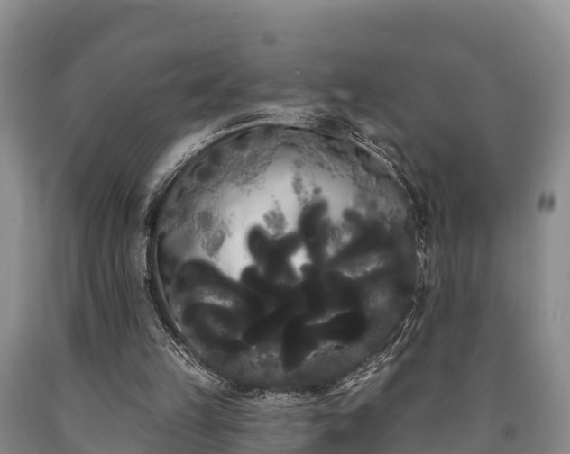 X0000090710149200707271138