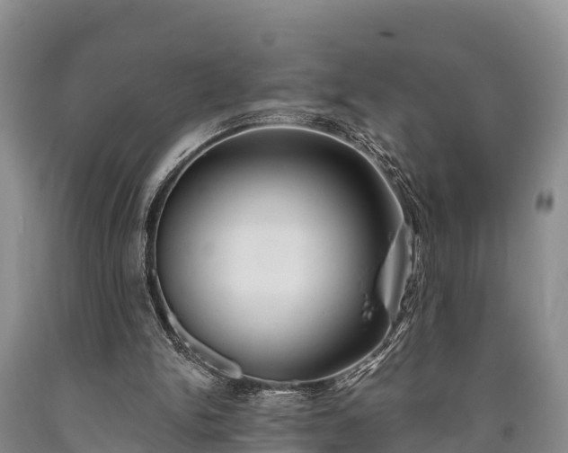 X0000090710150200707271138