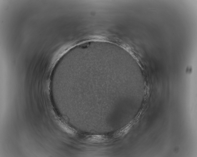 X0000090710151200707271138