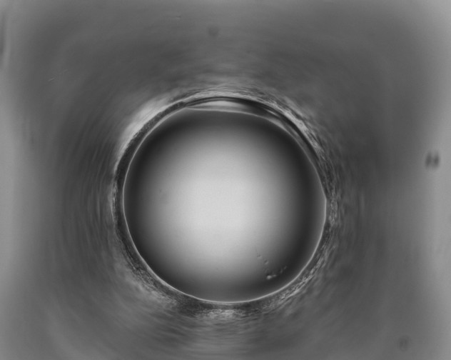 X0000090710152200707271138