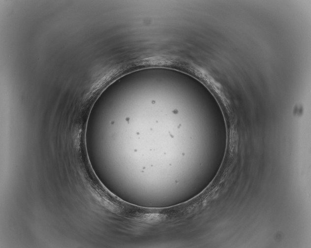 X0000090710153200707271138