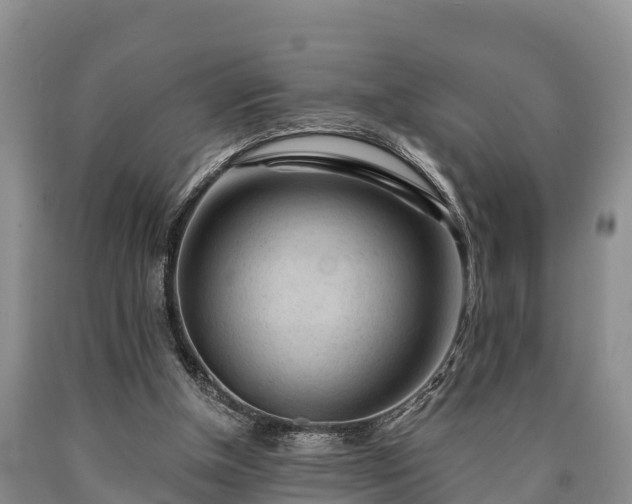 X0000090710154200707271138