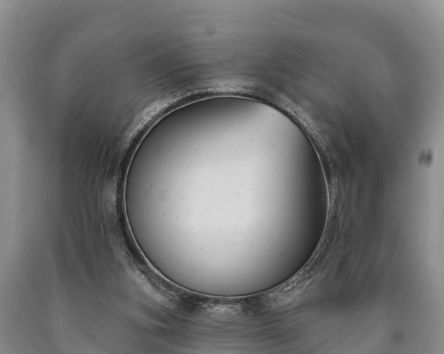 X0000090710155200707271138