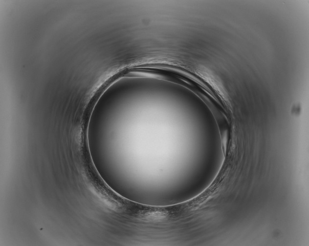 X0000090710156200707271138