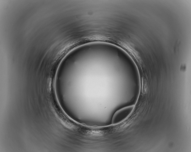 X0000090710157200707271138