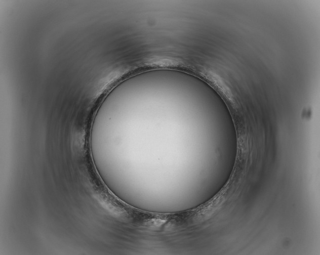 X0000090710159200707271139