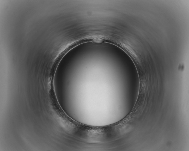 X0000090710160200707271139