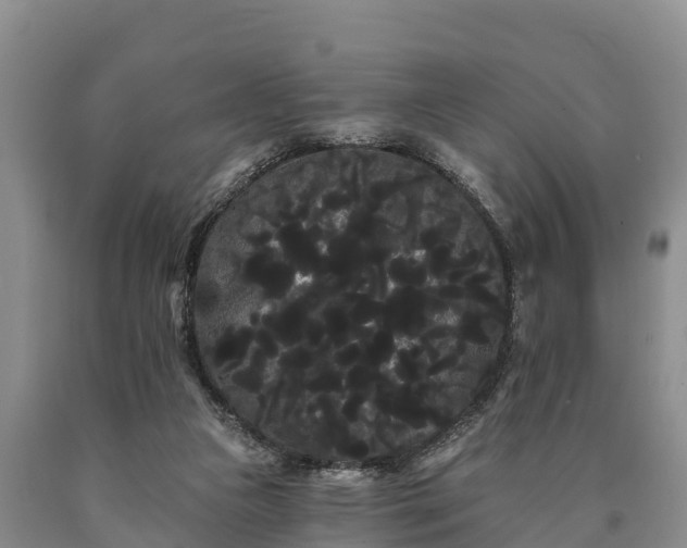 X0000090710161200707271139