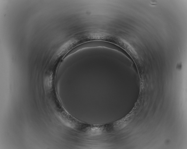 X0000090710163200707271139