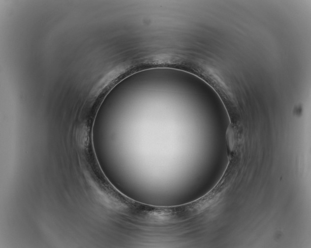 X0000090710164200707271139