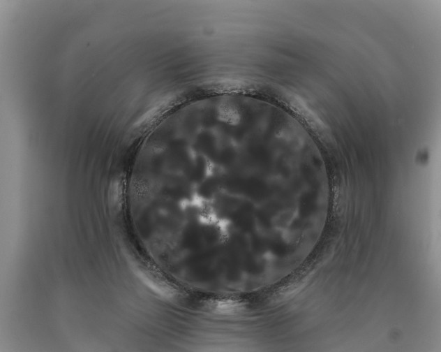 X0000090710165200707271139