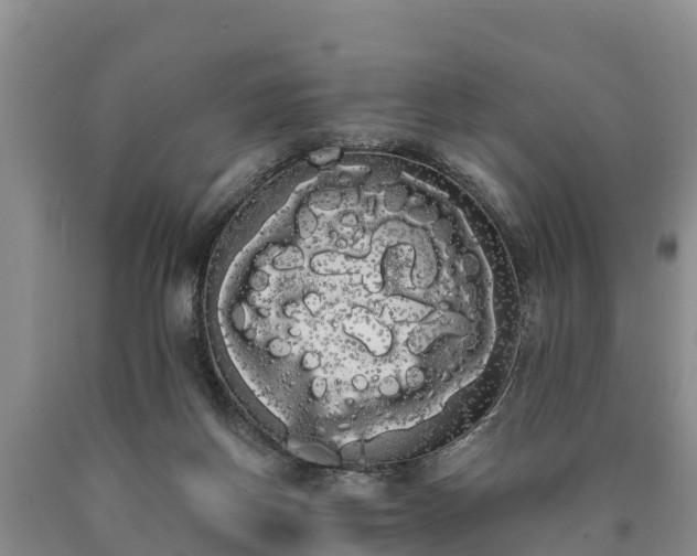 X0000090710166200707271139