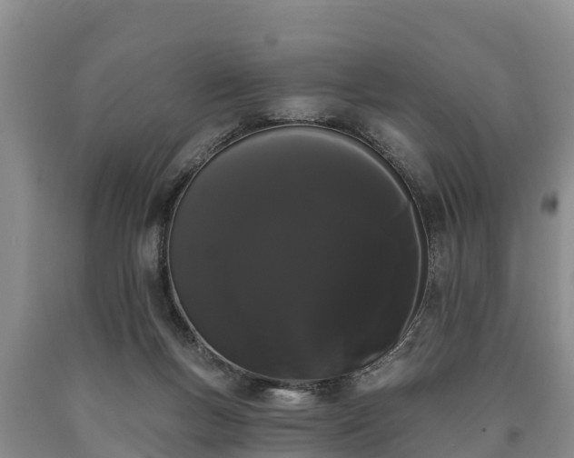 X0000090710167200707271139