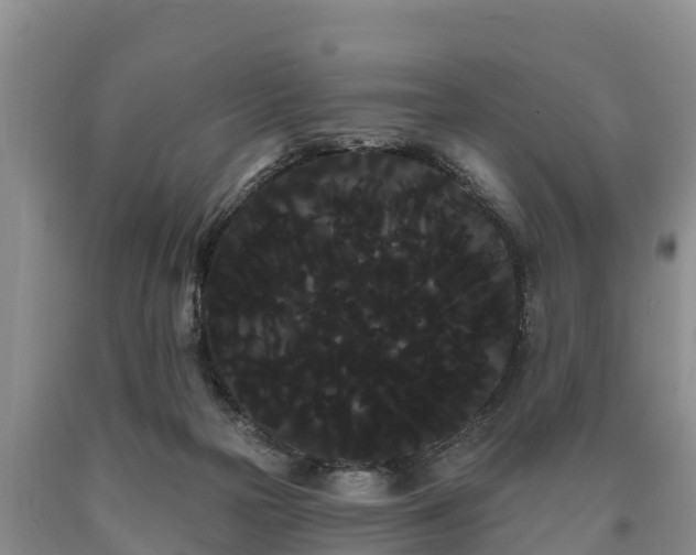 X0000090710169200707271139