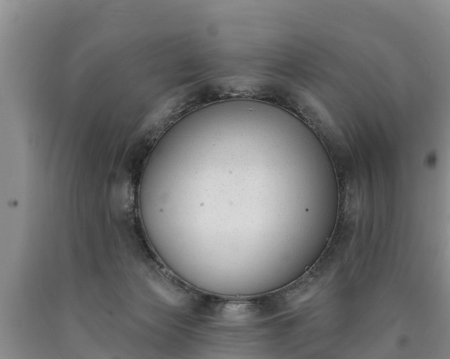 X0000090710173200707271139