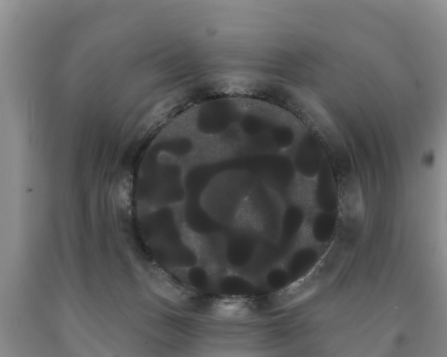 X0000090710175200707271139