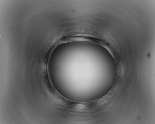 X0000090710176200707271139