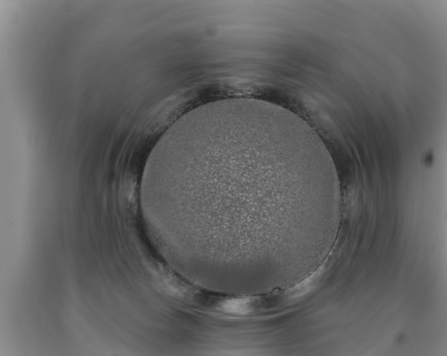 X0000090710178200707271139