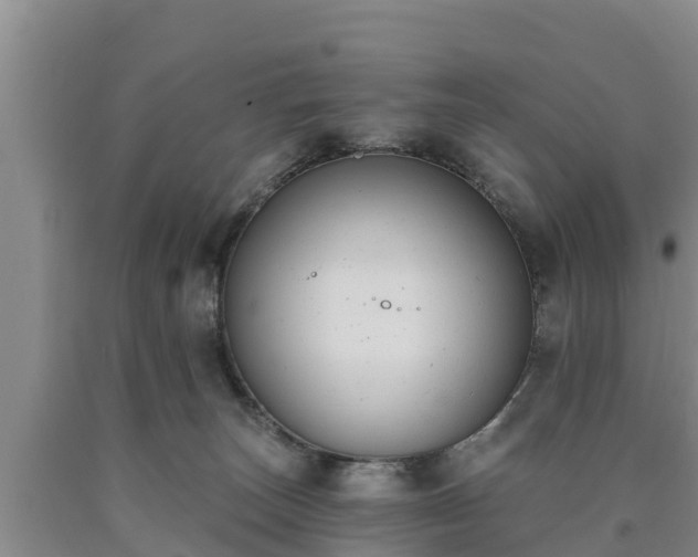 X0000090710179200707271139